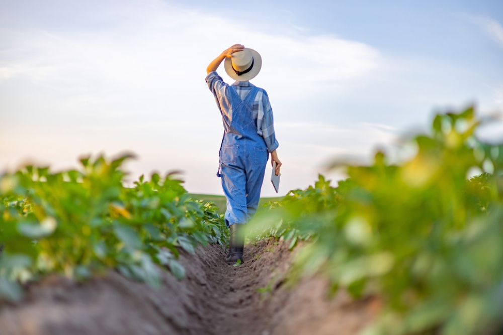 Descubre las mejores botas para trabajar el campo