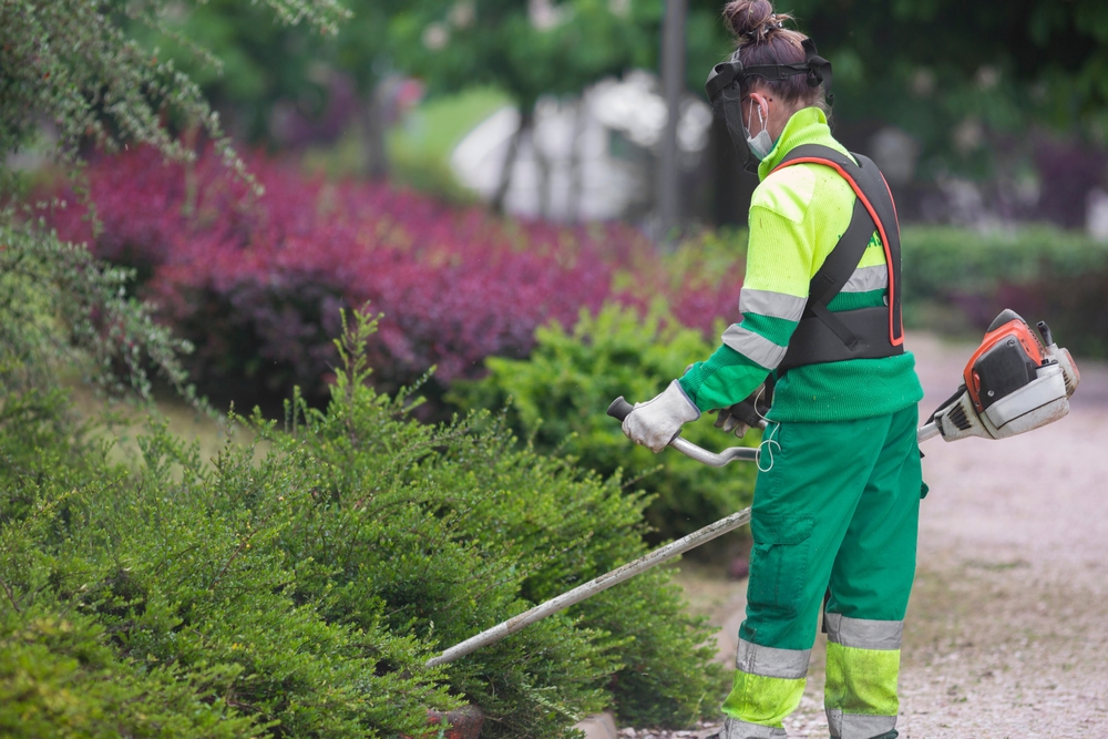 ¿Cuáles son los mejores epis en jardineria?