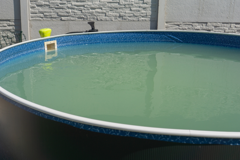 ¿Qué hacer cuando el agua de la piscina está verde?