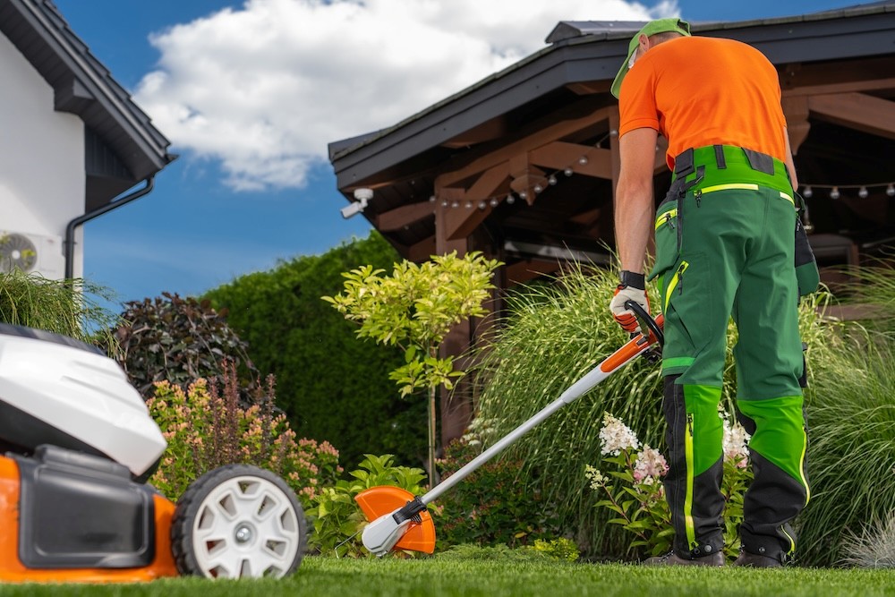 Descubre que desbrozado de Stihl deberías comprar